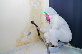 Best Mold Removal for HVAC Installations in Exeter, CA